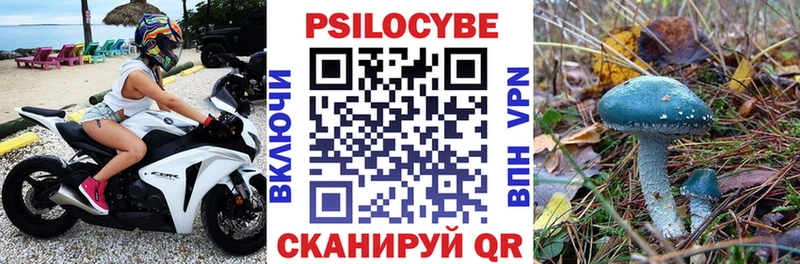 Галлюциногенные грибы Psilocybe Якутск